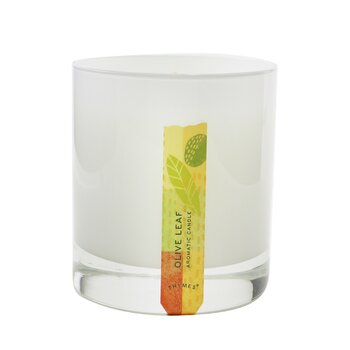 Aromatic Candle - Olive Leaf