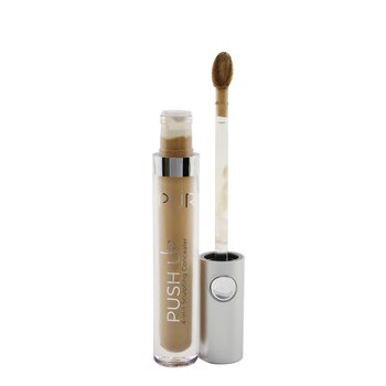 Push Up 4 in 1 Sculpting Concealer - # TN3 Oak